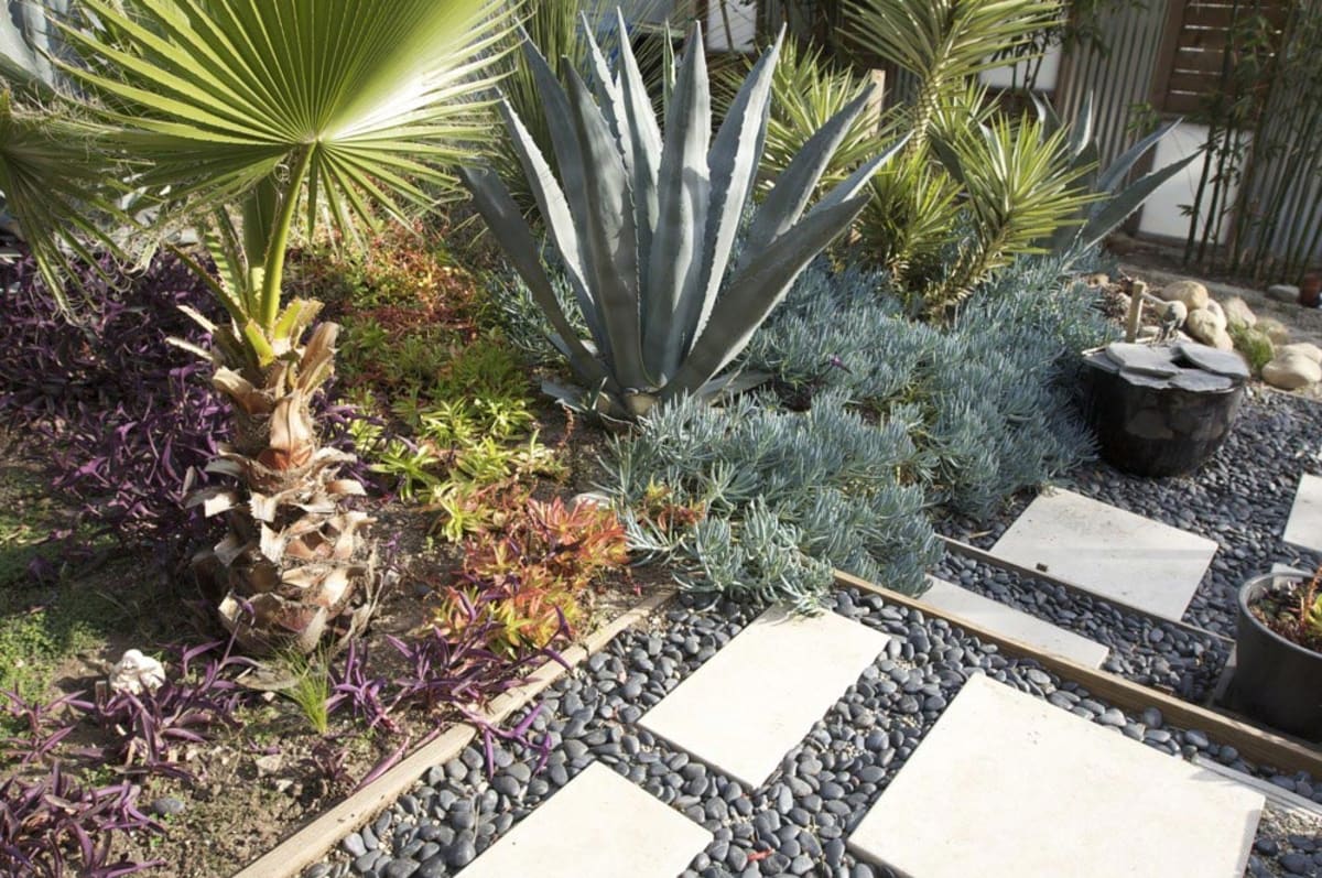 Find a xeriscaping companies in Los Angeles, CA