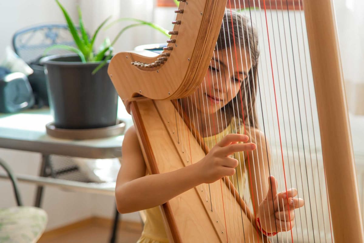 Find a harp lessons in Clifton, NJ