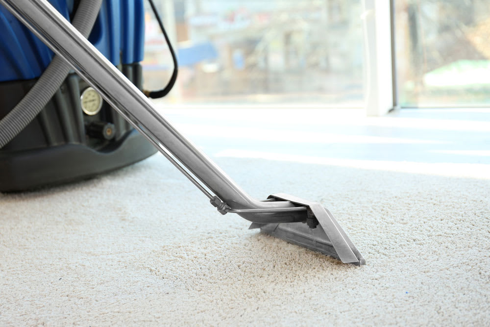 Find a carpet cleaning service in Los Angeles, CA