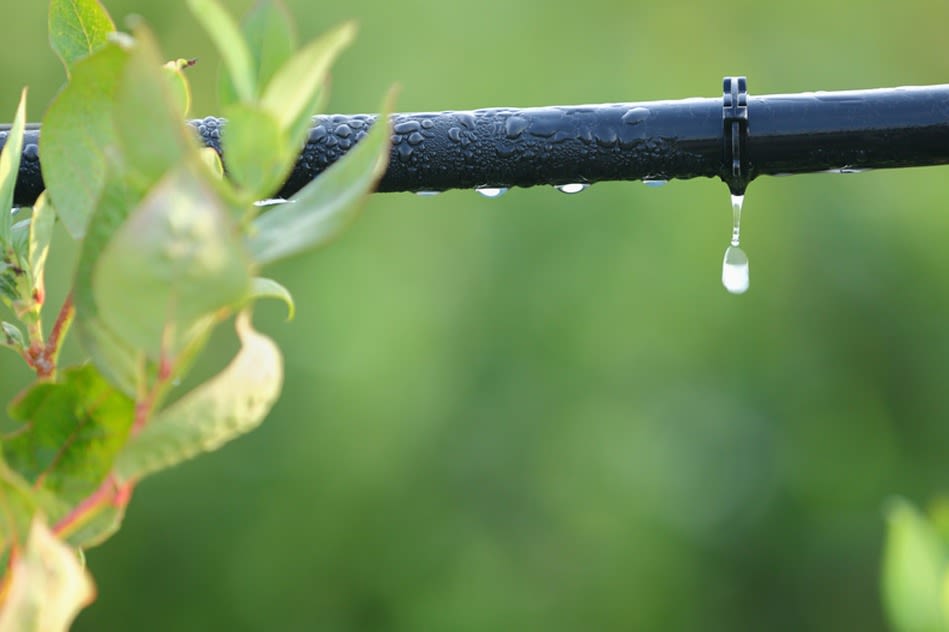 Find a drip irrigation repair service near you