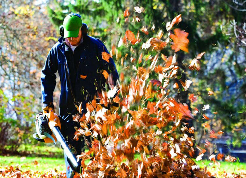 Find a fall clean up services near you