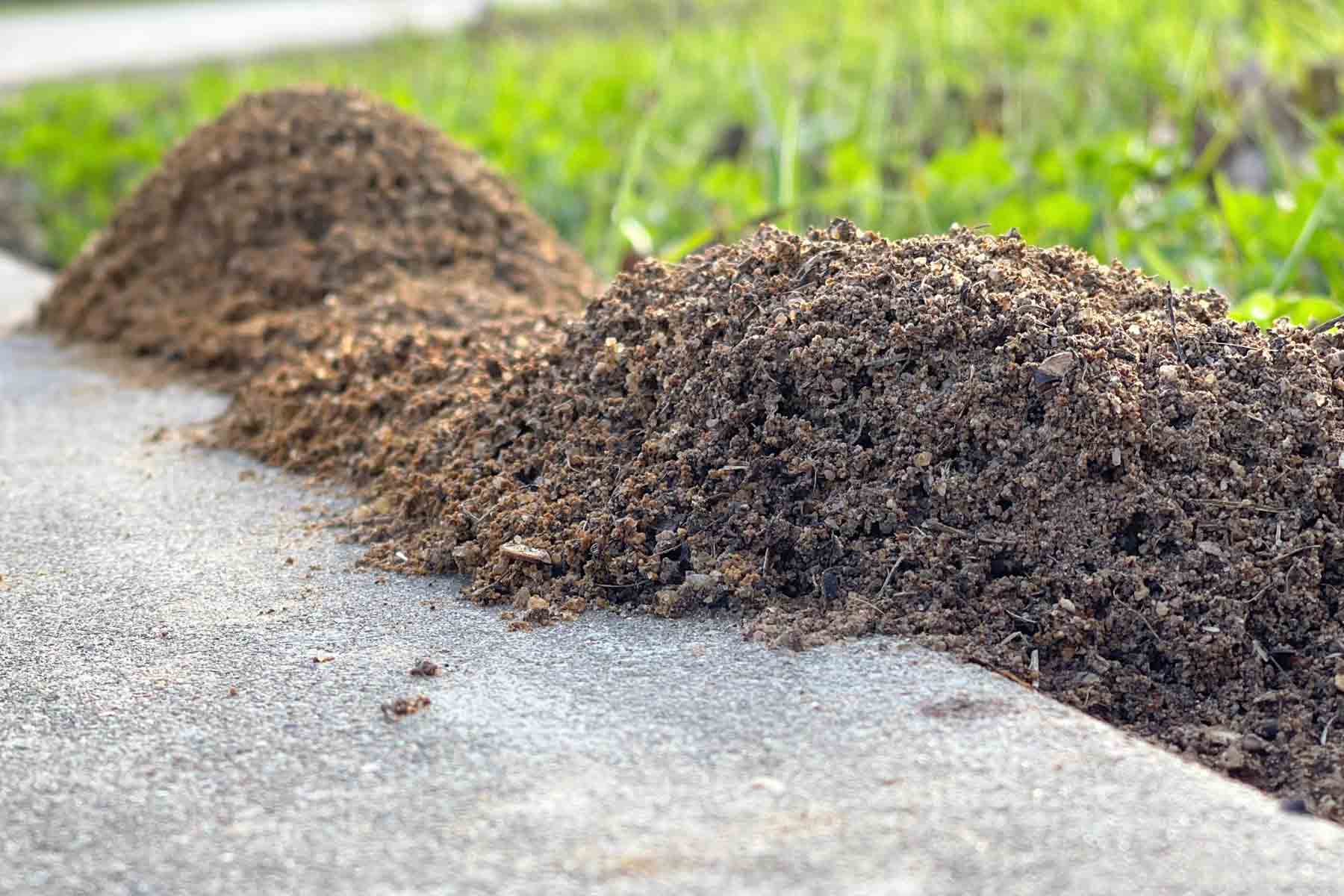 Find a fire ant control service near you