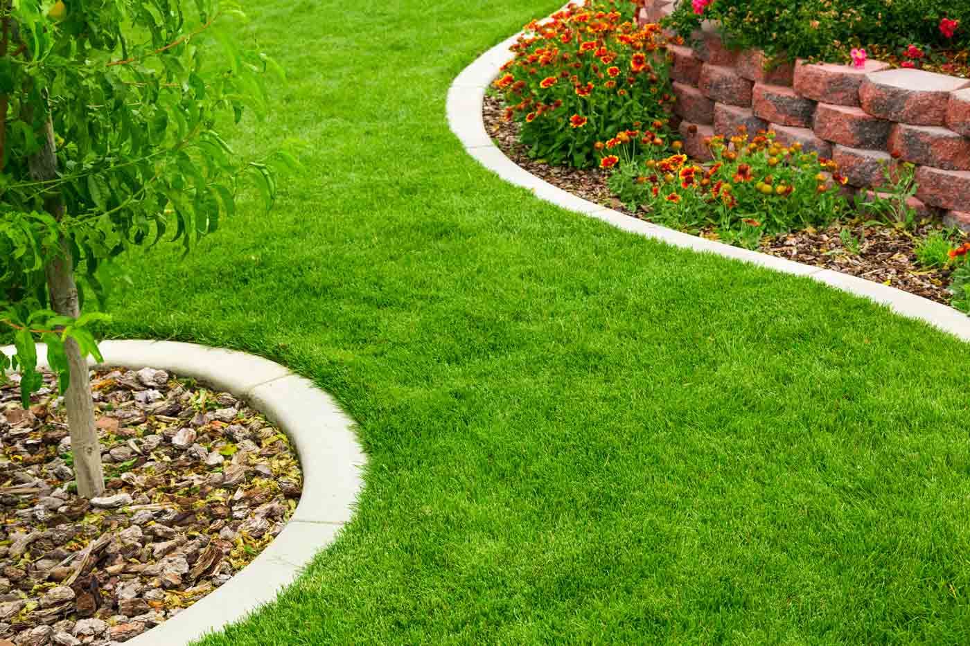 The 10 Best Grass Services Near Me (with Free Quotes)
