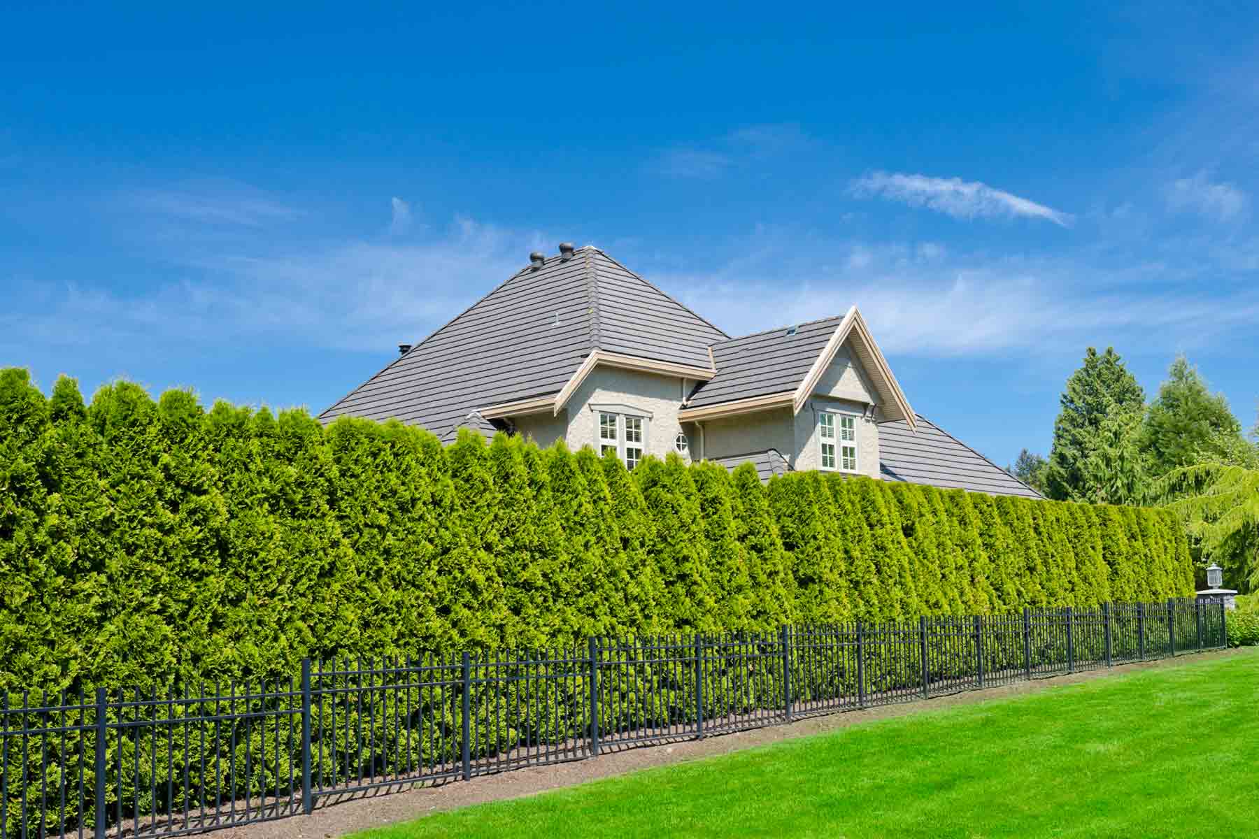 Find a hedge trimming service near you