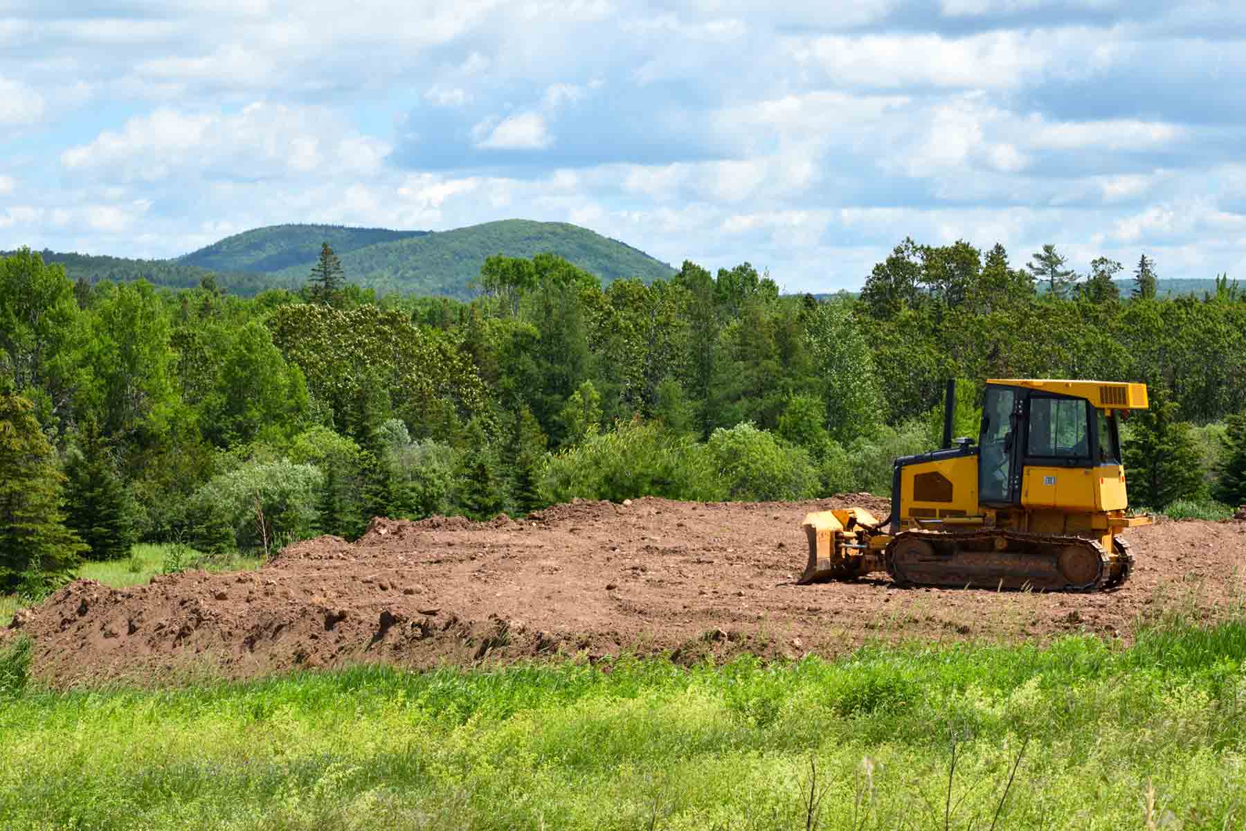 The 10 Best Land Clearing Services Near Me with Free Quotes The 10 Best Land Clearing Services Near Me with Free Quotes