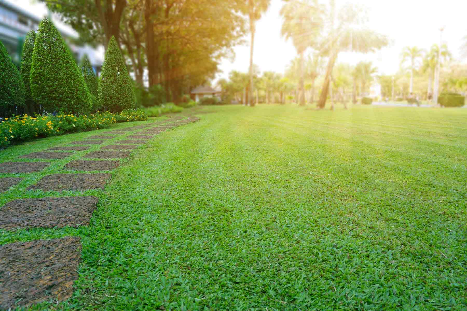 Find a lawn mowing service near you