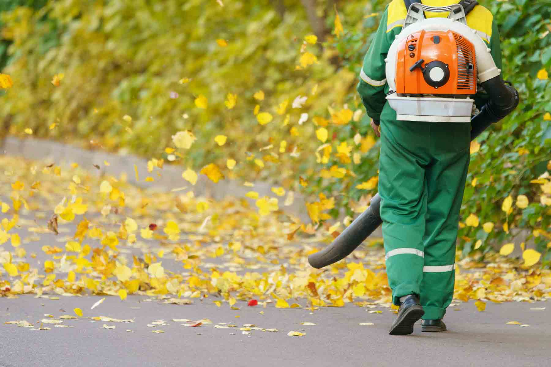 Find a leaf removal service near you