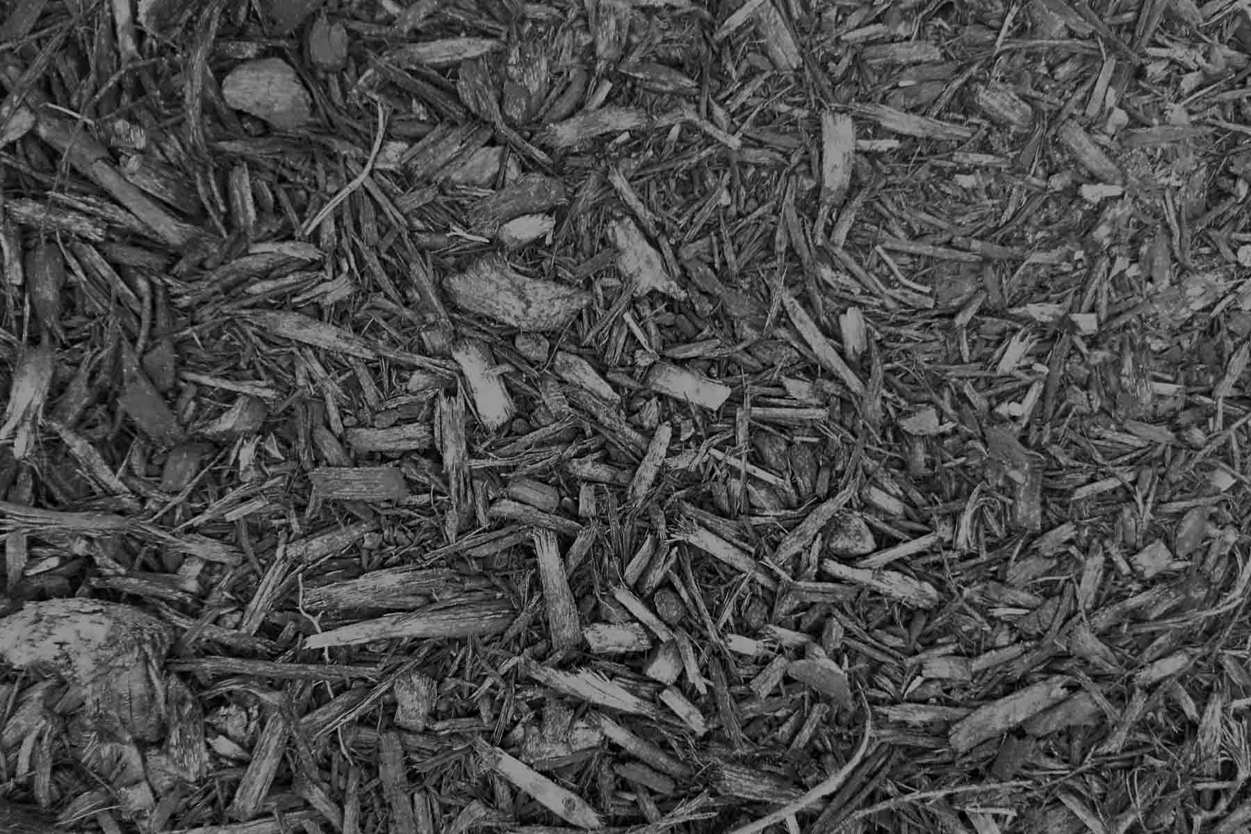 The 10 Best Mulch Delivery Near Me (with Free Quotes)