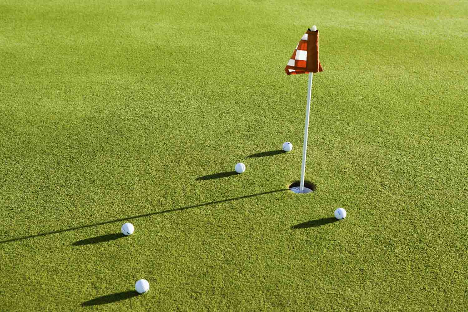 Find a putting green installer near you