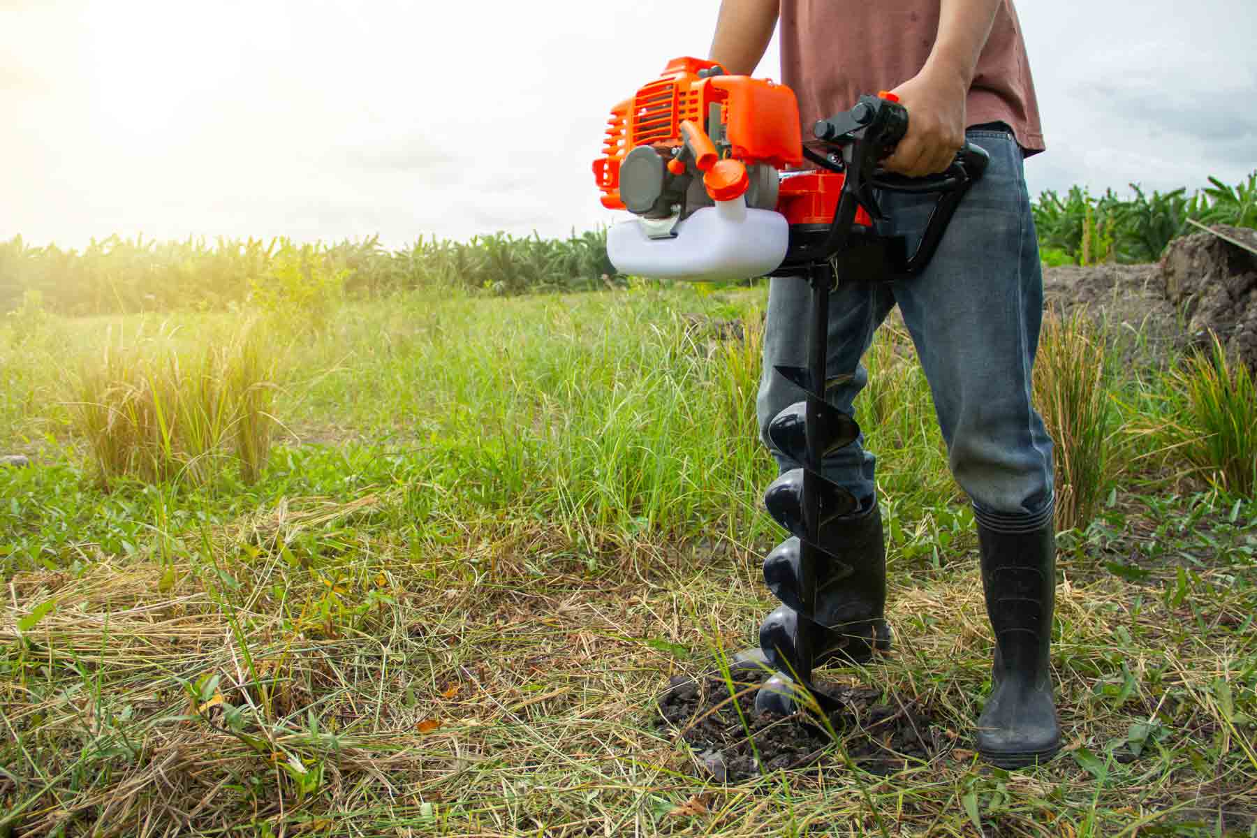 The 10 Best Soil Testing Companies Near Me (with Free Quotes)