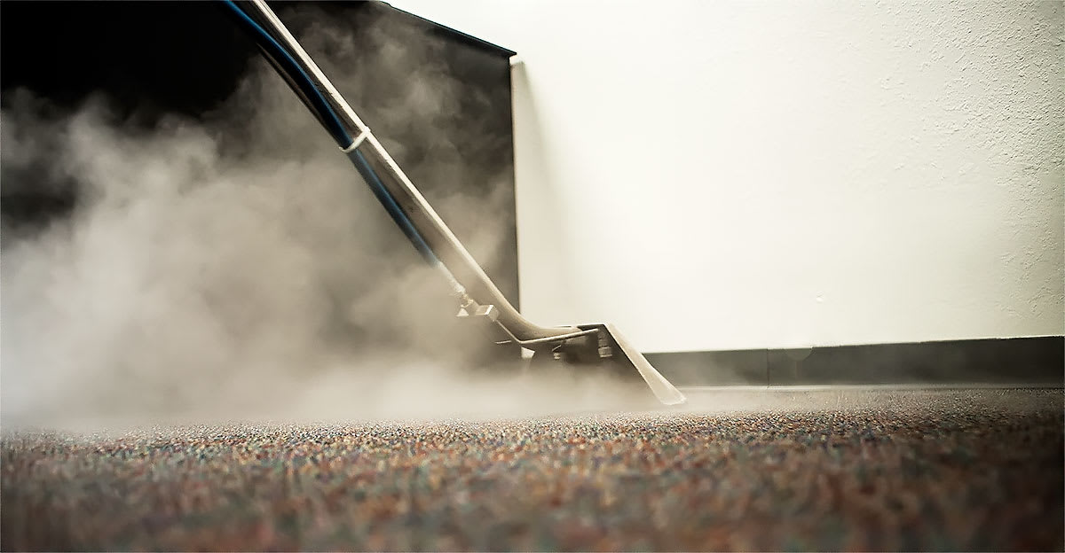 The 10 Best Steam Cleaning Services Near Me (Free Quotes)