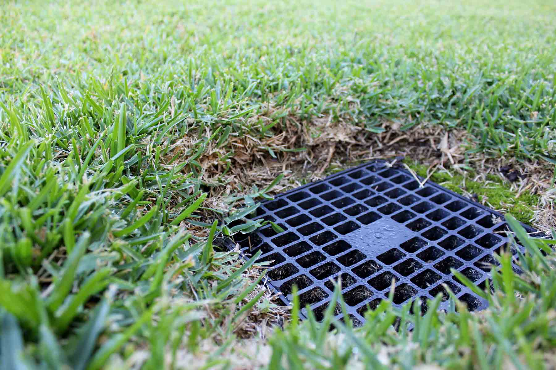The 10 Best Storm Drain Cleaning Services Near Me (2024)
