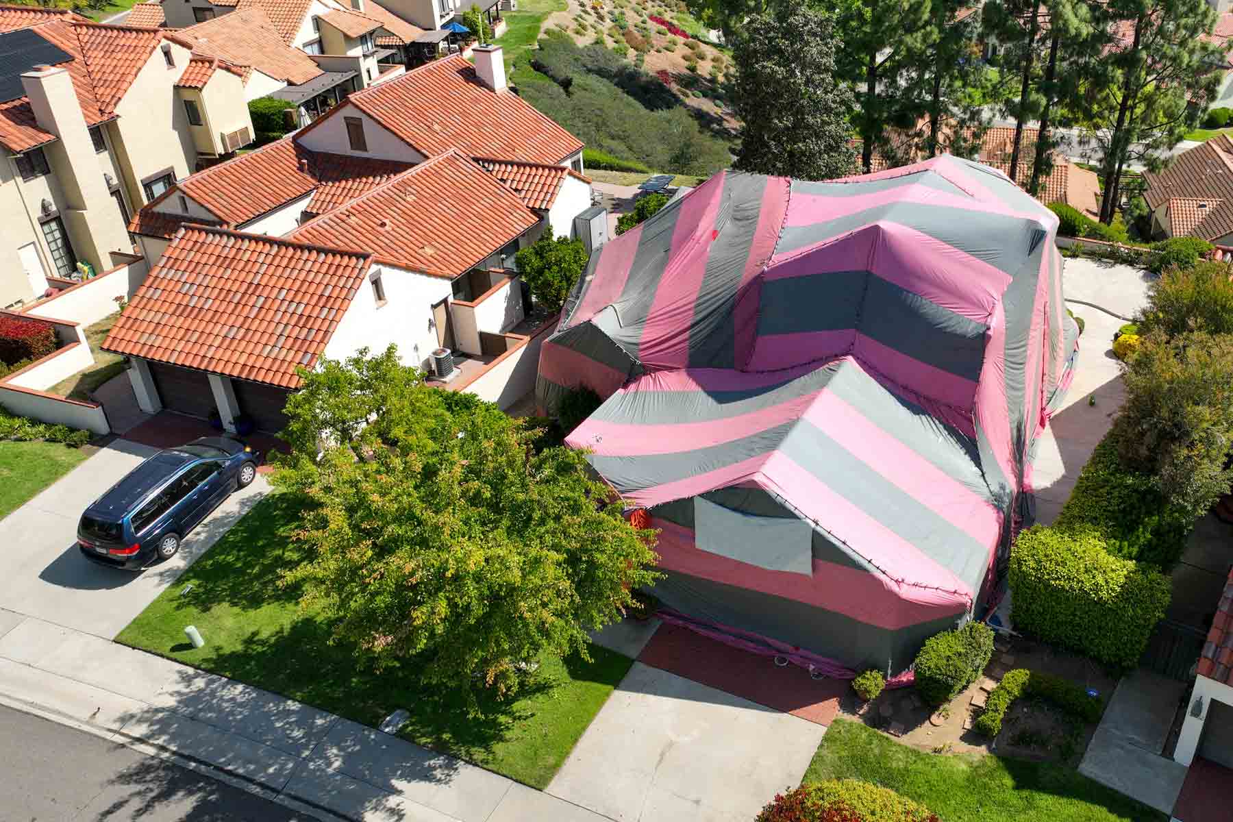 The 10 Best Termite Tenting Companies Near Me (Free Quotes)