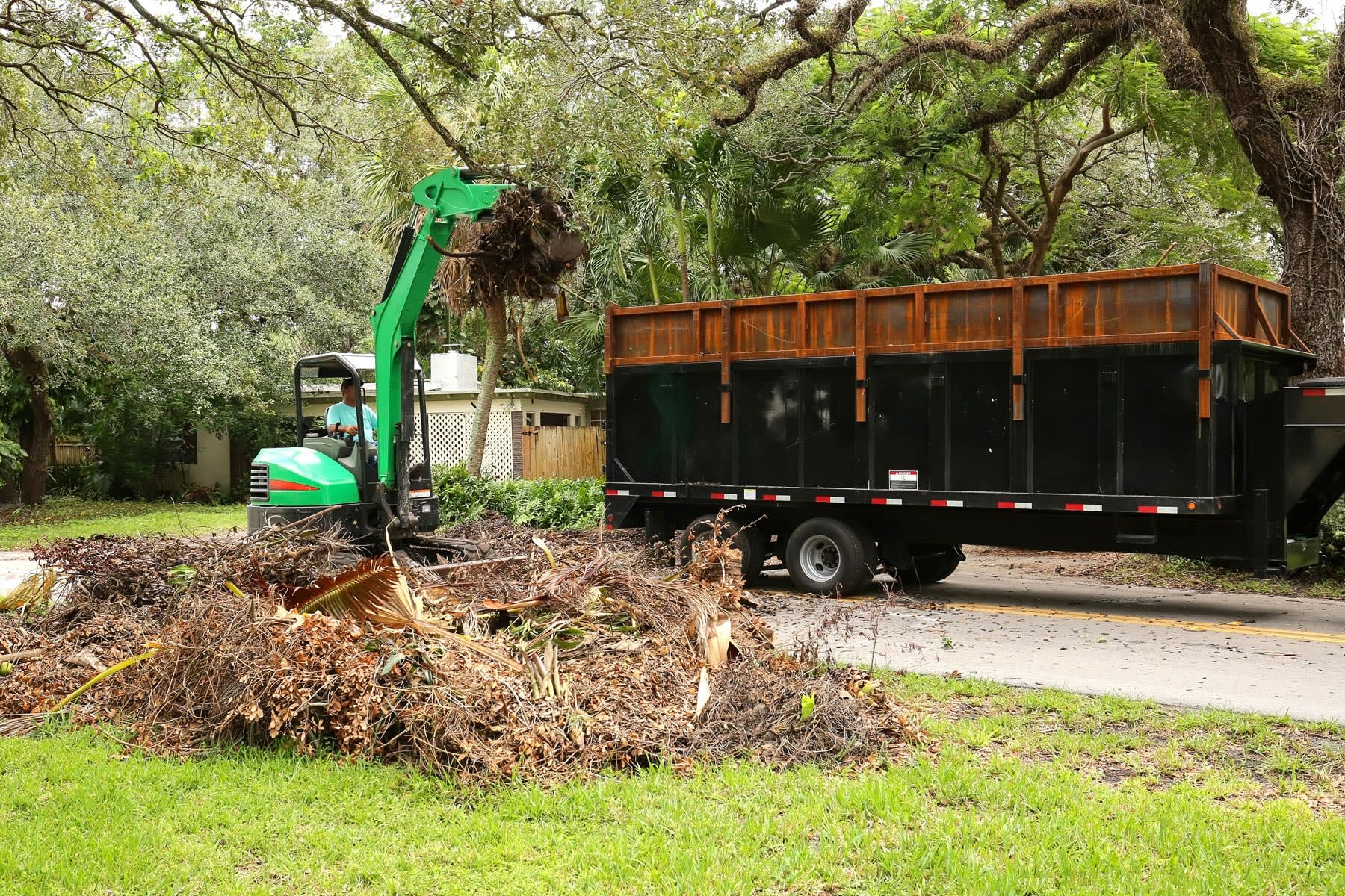 Find a tree debris removal service near you