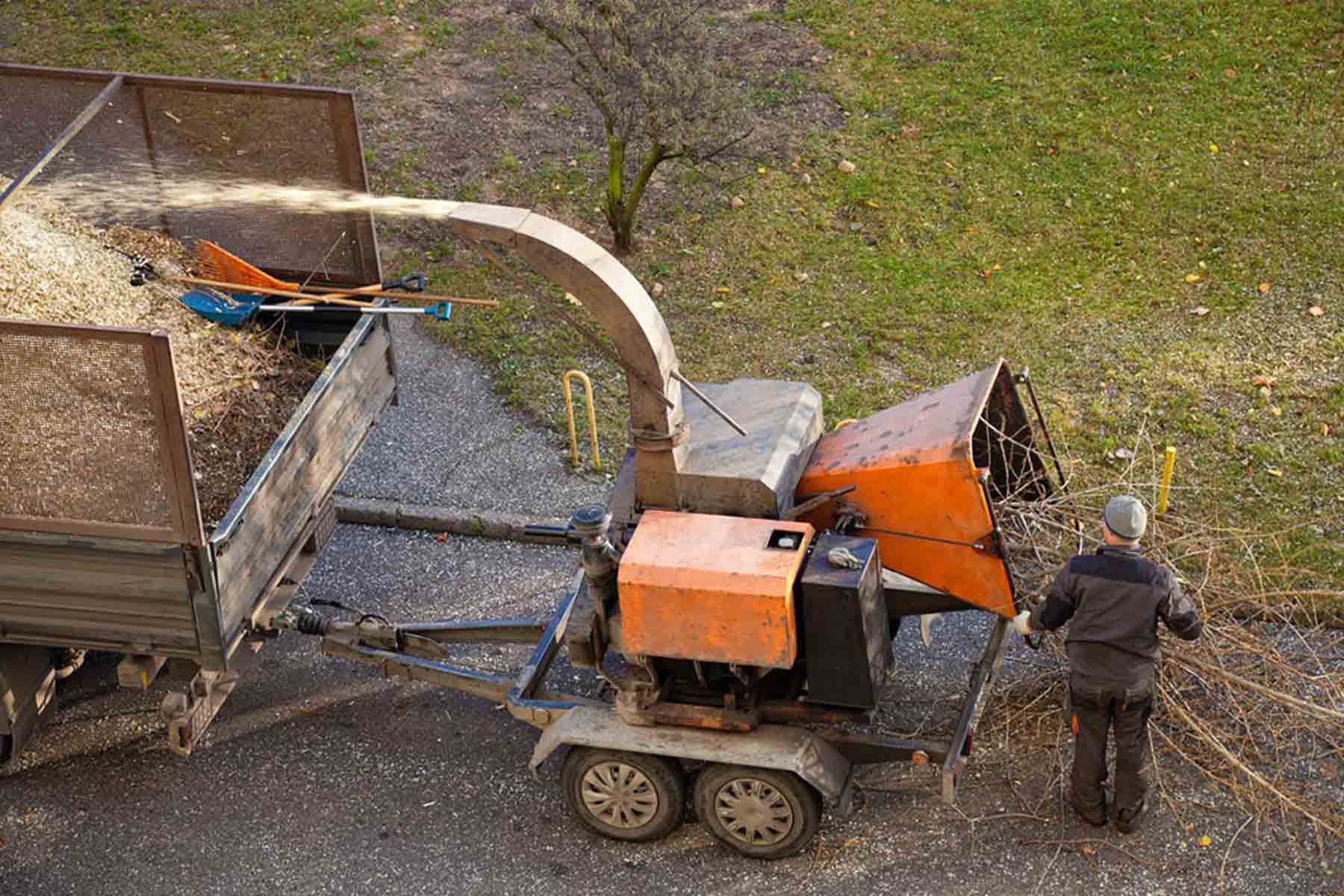 The 10 Best Wood Chipping Services Near Me (with Free Quotes)