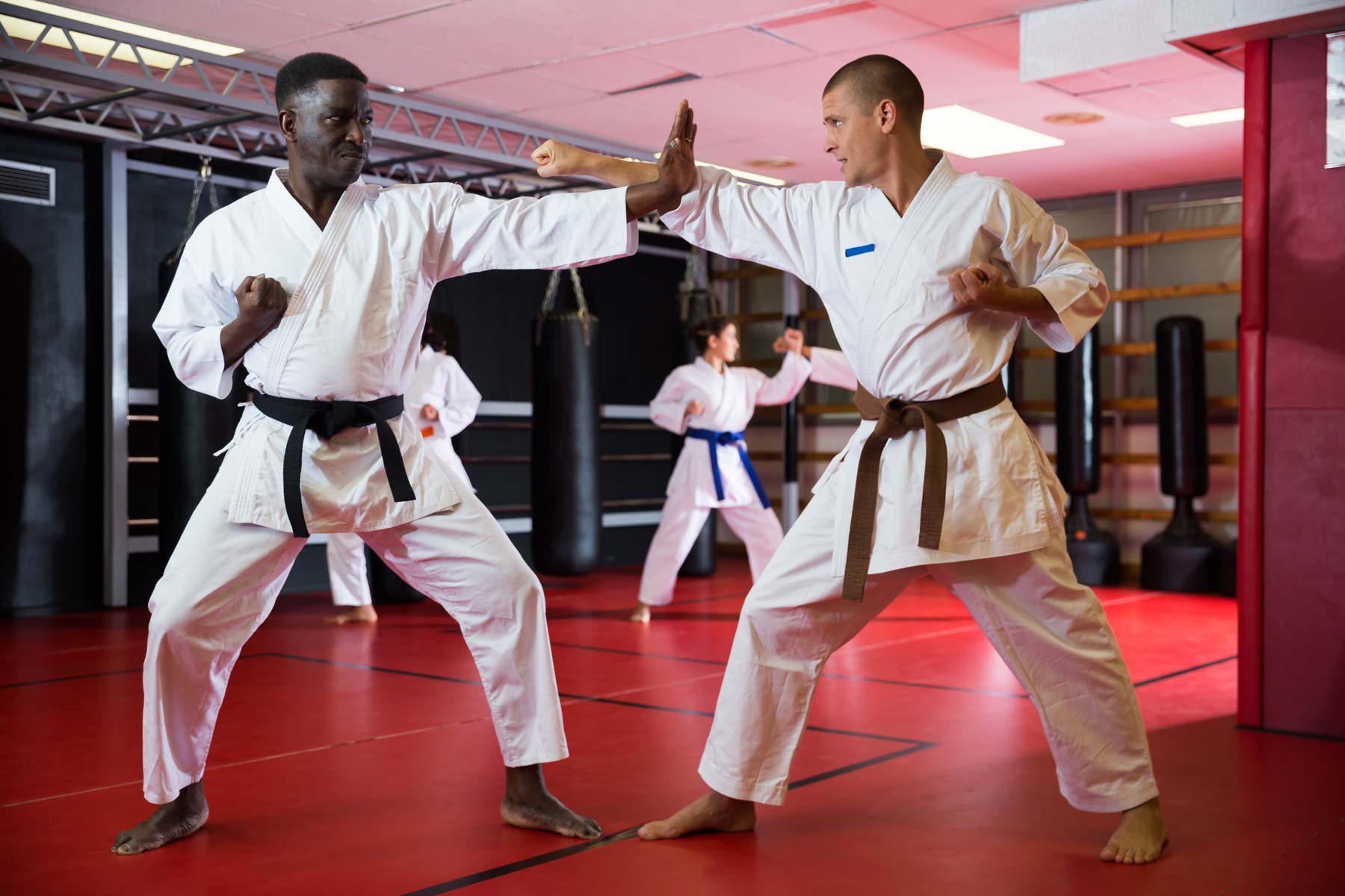 The 10 Best Adult Martial Arts Classes Near Me (2025)