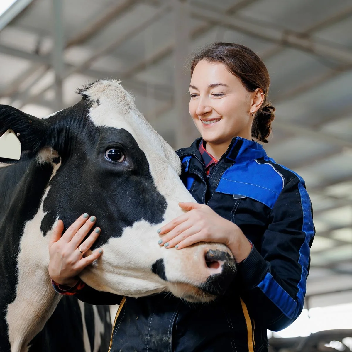 Mobile vet services