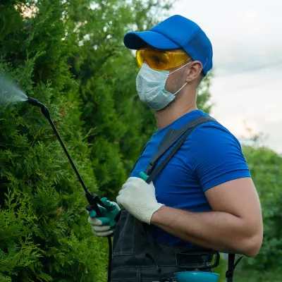 Pest control