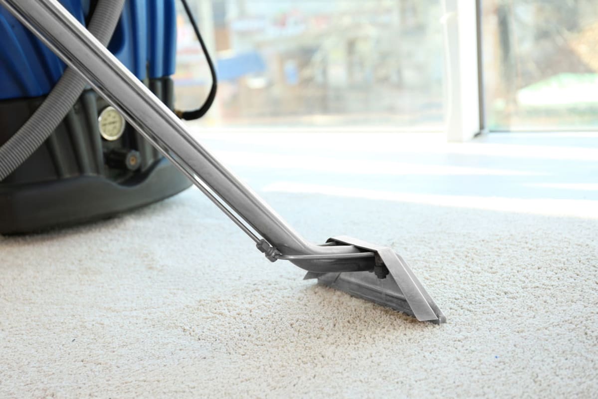 Find a commercial carpet cleaner near you