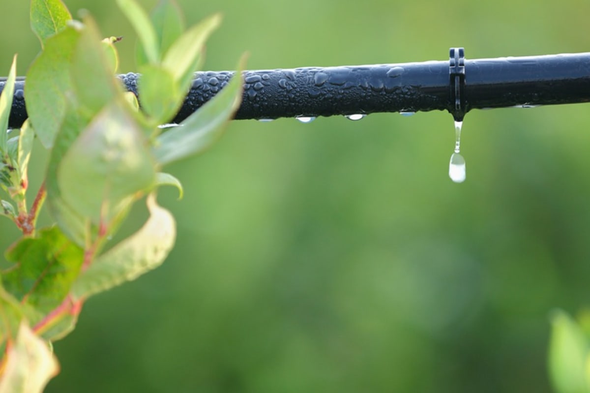 Find a drip irrigation repair service near you