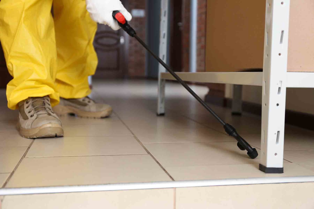 Find a emergency pest control service near you