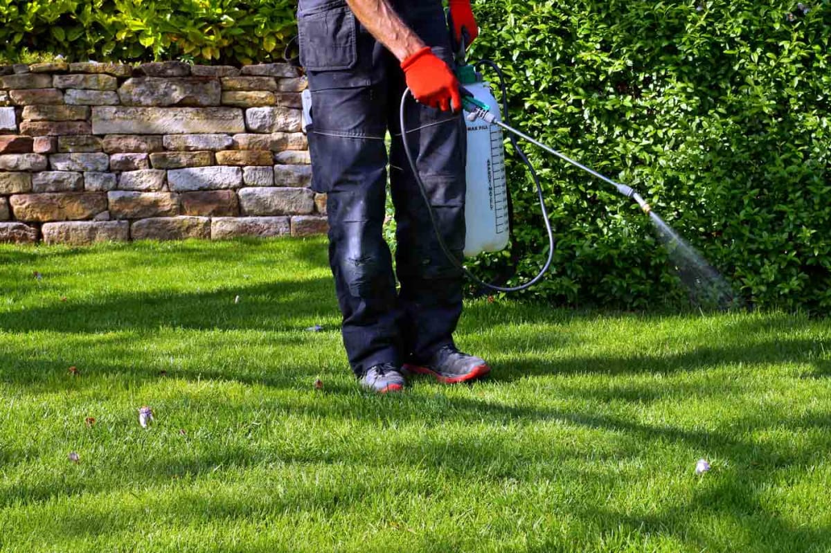 Find a weed control service near you