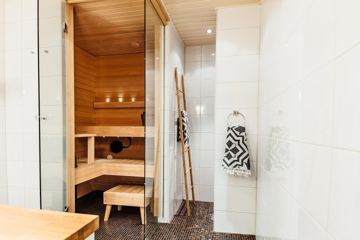 Dry Sauna Bathroom - Photos & Ideas