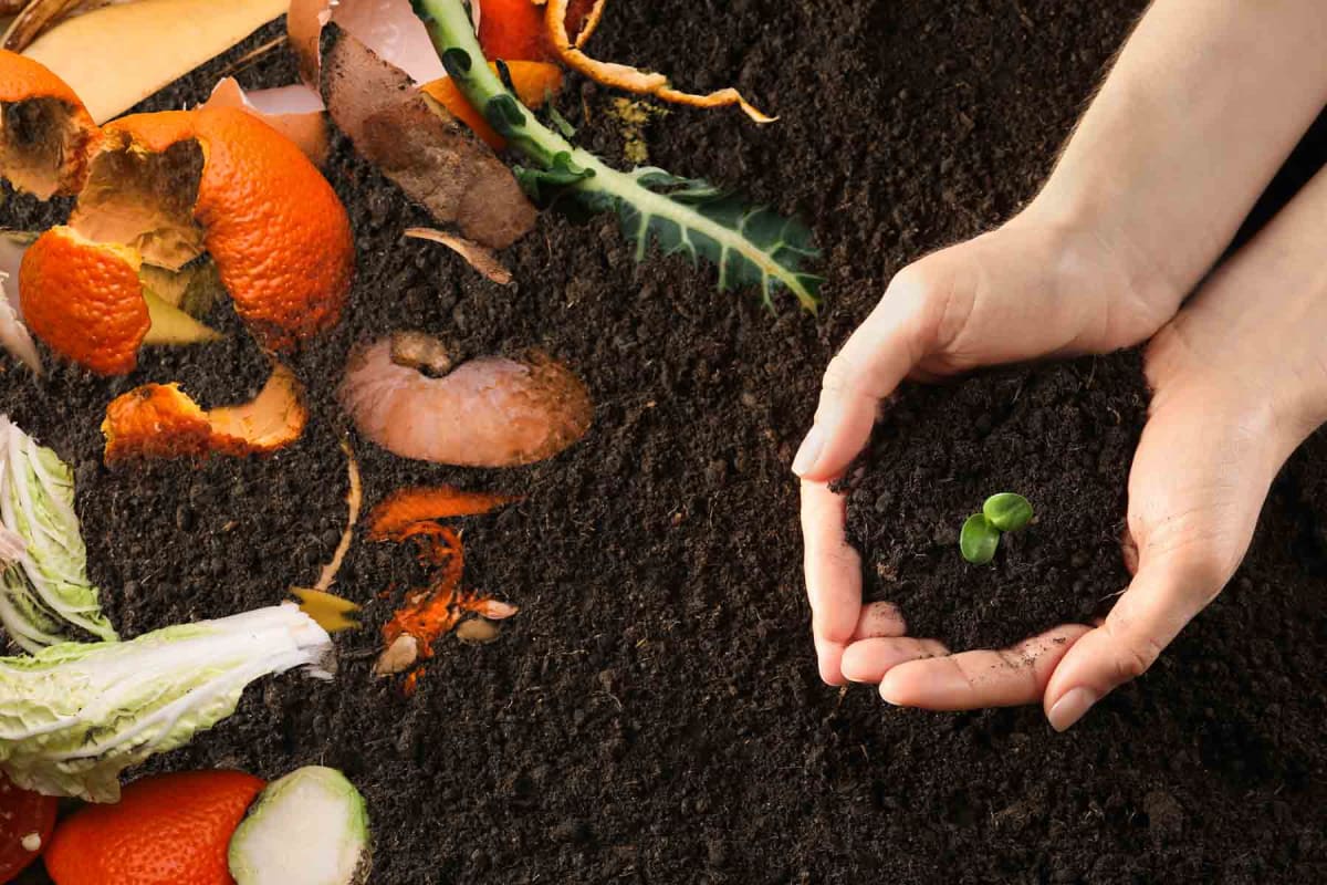 How much does compost cost?