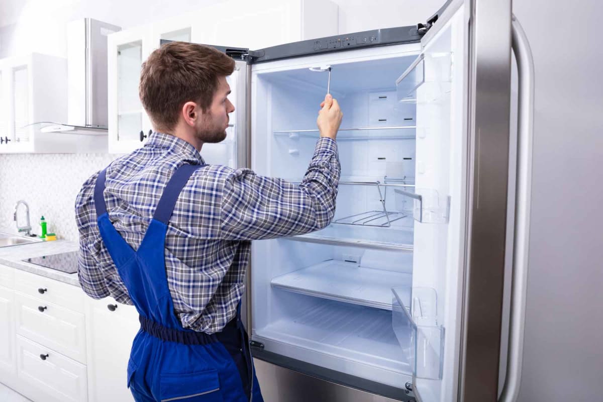 Freezer Repair