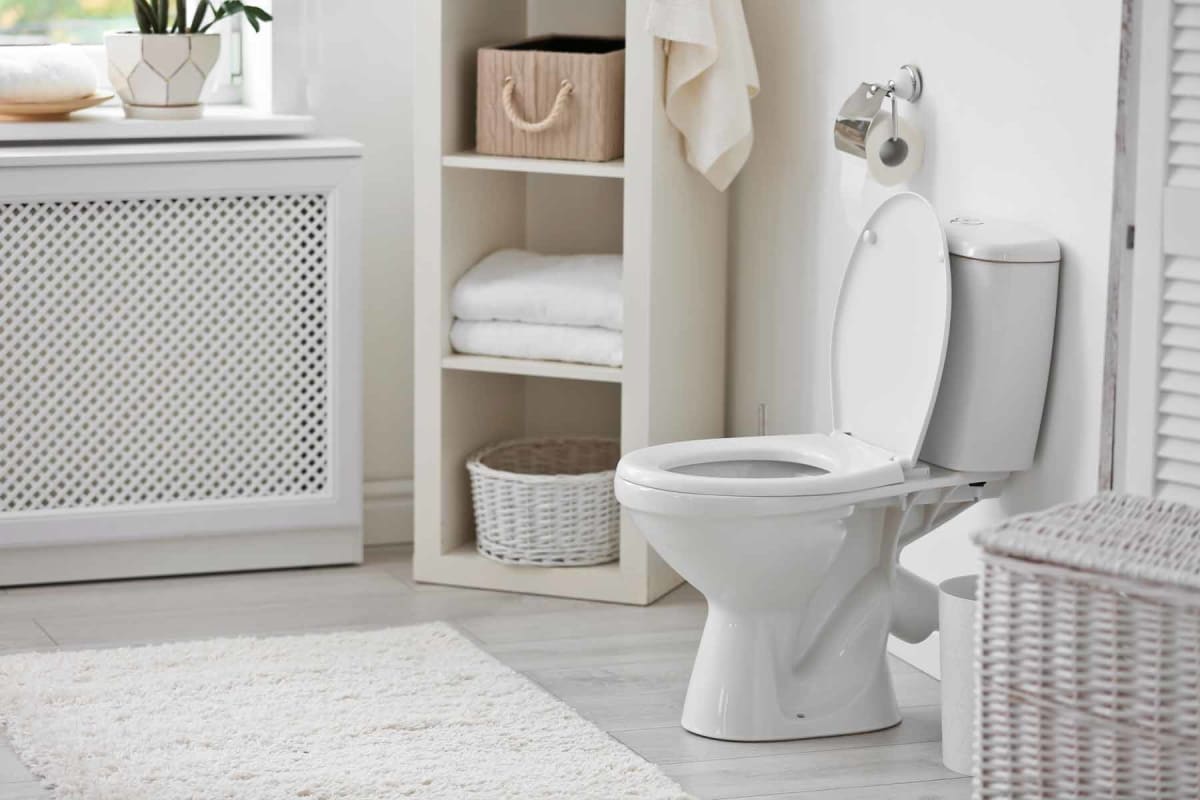 How much does toilet installation cost?