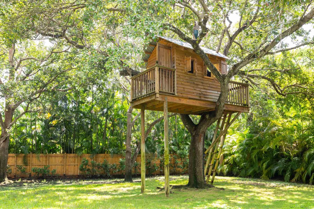 How Much Does a Treehouse Cost to Build? (2024)