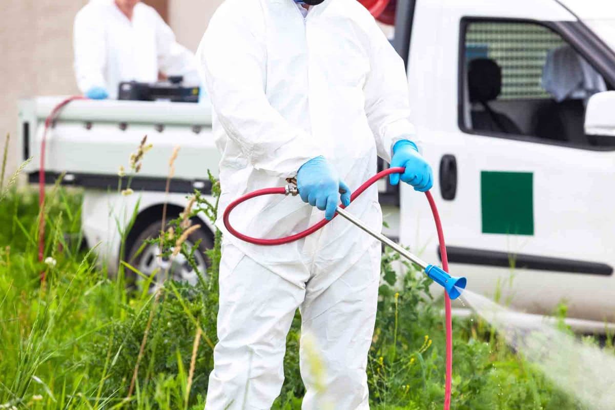 How much does mosquito control cost?