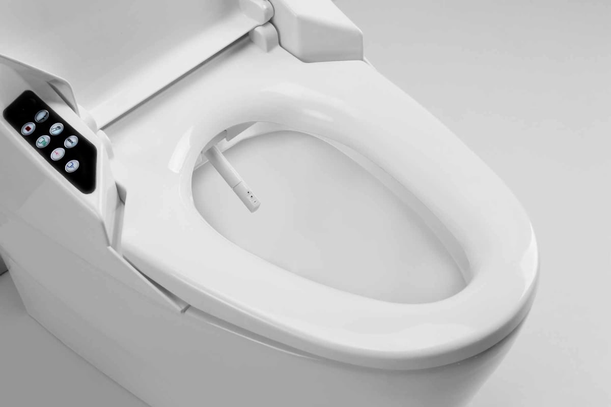 How much does a bidet cost to install?