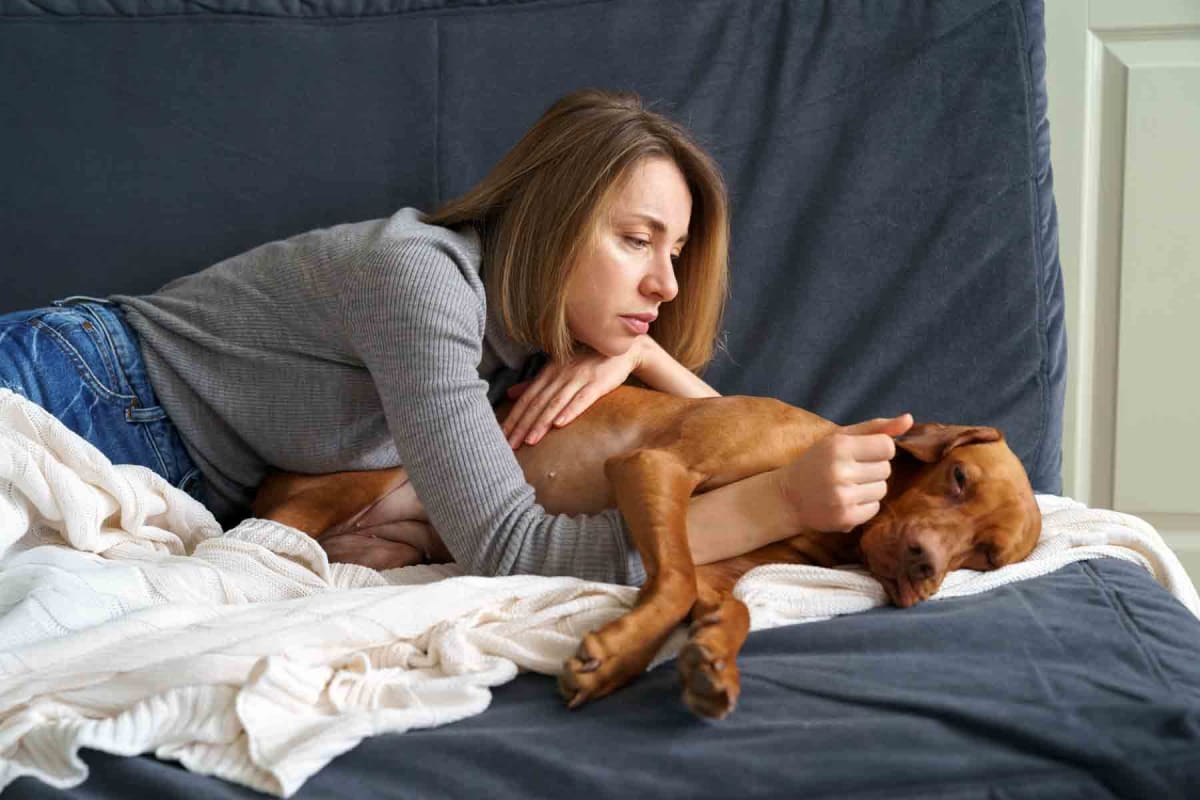 How much does at-home pet euthanasia cost?