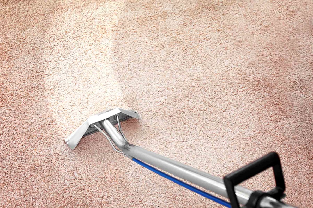 How much does it cost to rent a carpet cleaner?