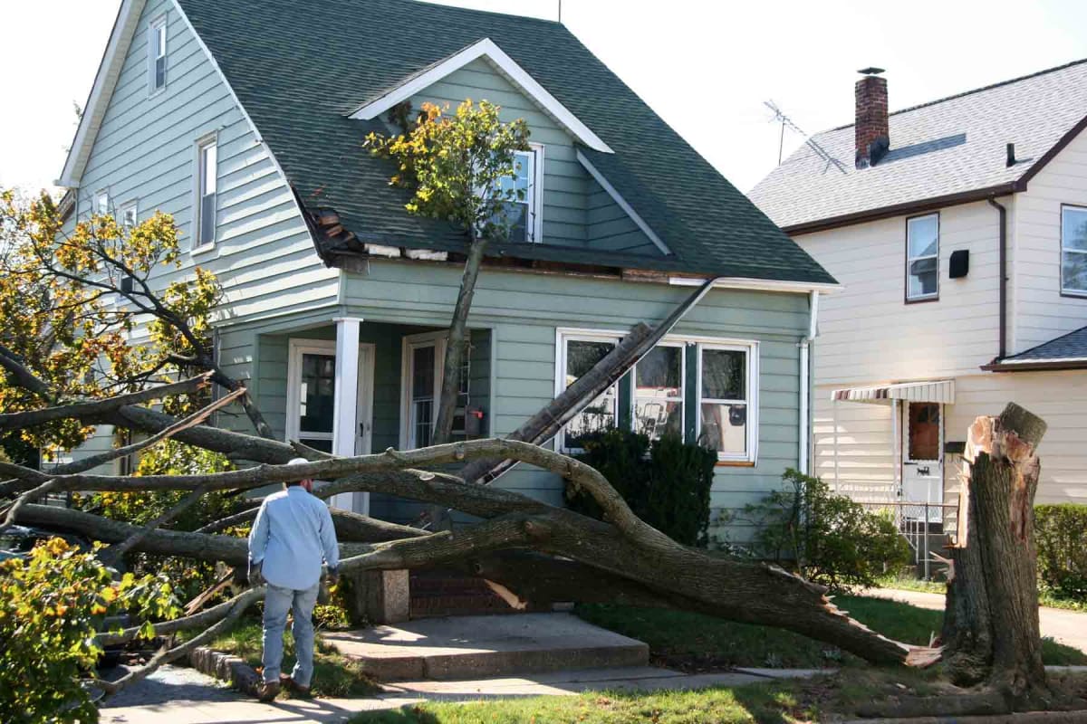 How much does homeowners insurance cost?