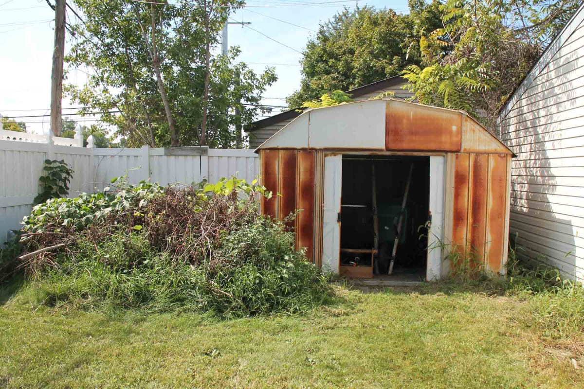 How much does shed removal cost?