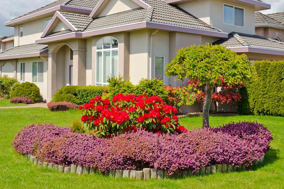 Cheap Front Yard Landscaping Ideas: 13 Low-Cost Ways to Boost Curb Appeal