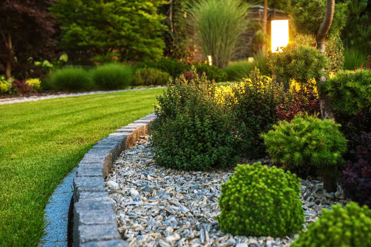 Landscaping Ideas to Elevate Your Outdoor Space