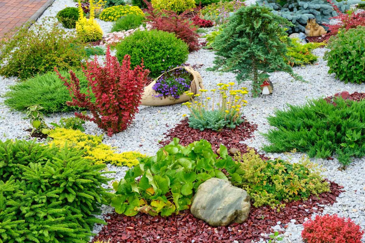 Cheap Landscaping Ideas to Enhance Your Yard on a Budget