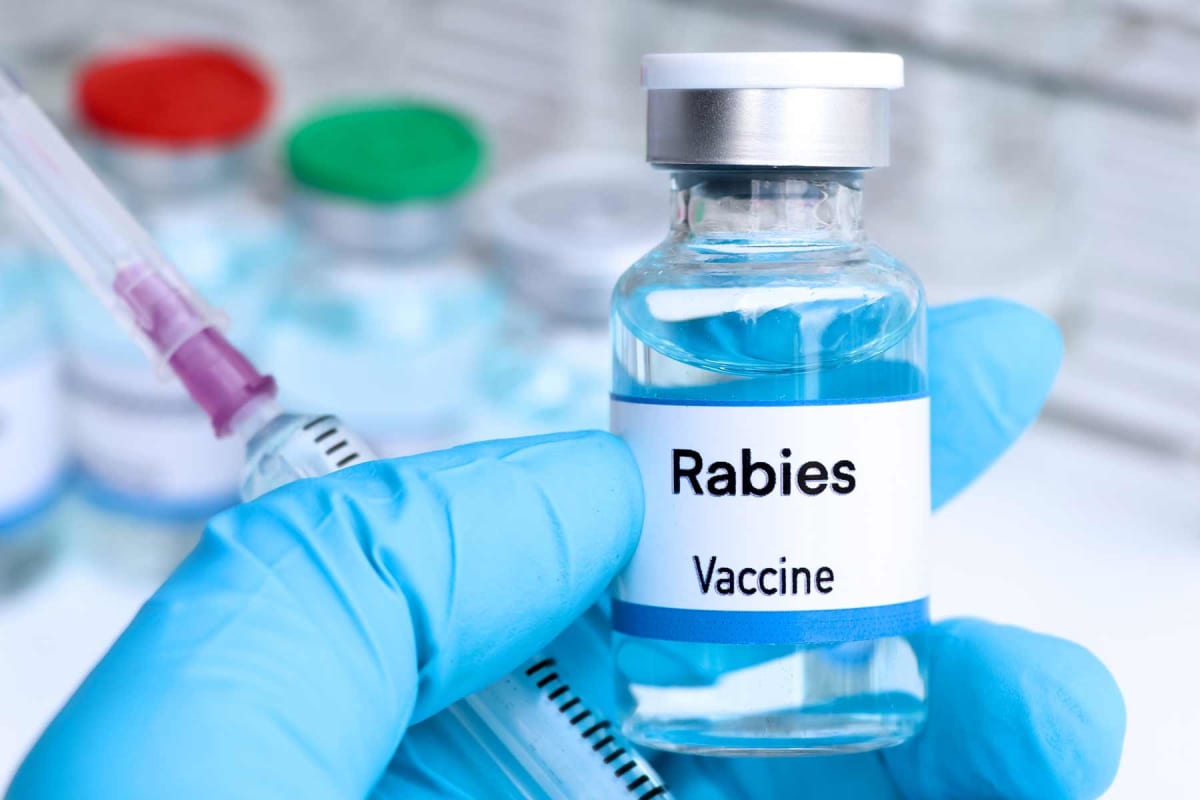 How much does the rabies vaccine cost for humans?