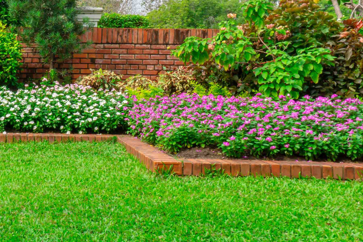 Landscape Edging Ideas to Enhance Your Yard