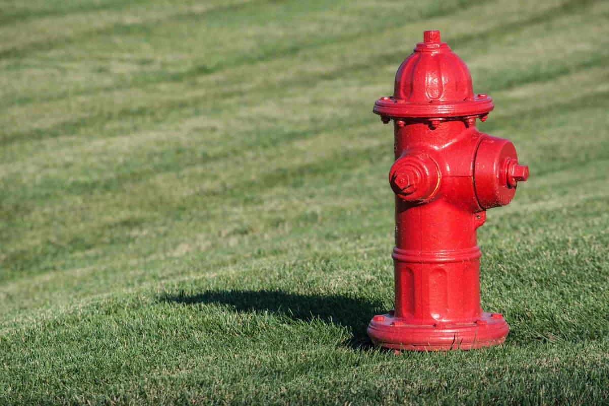 How much does a fire hydrant cost?