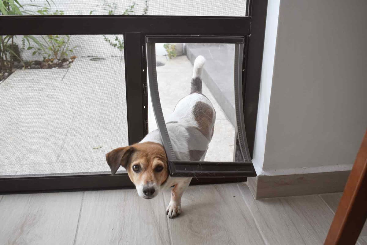 How much does a dog door installation cost?