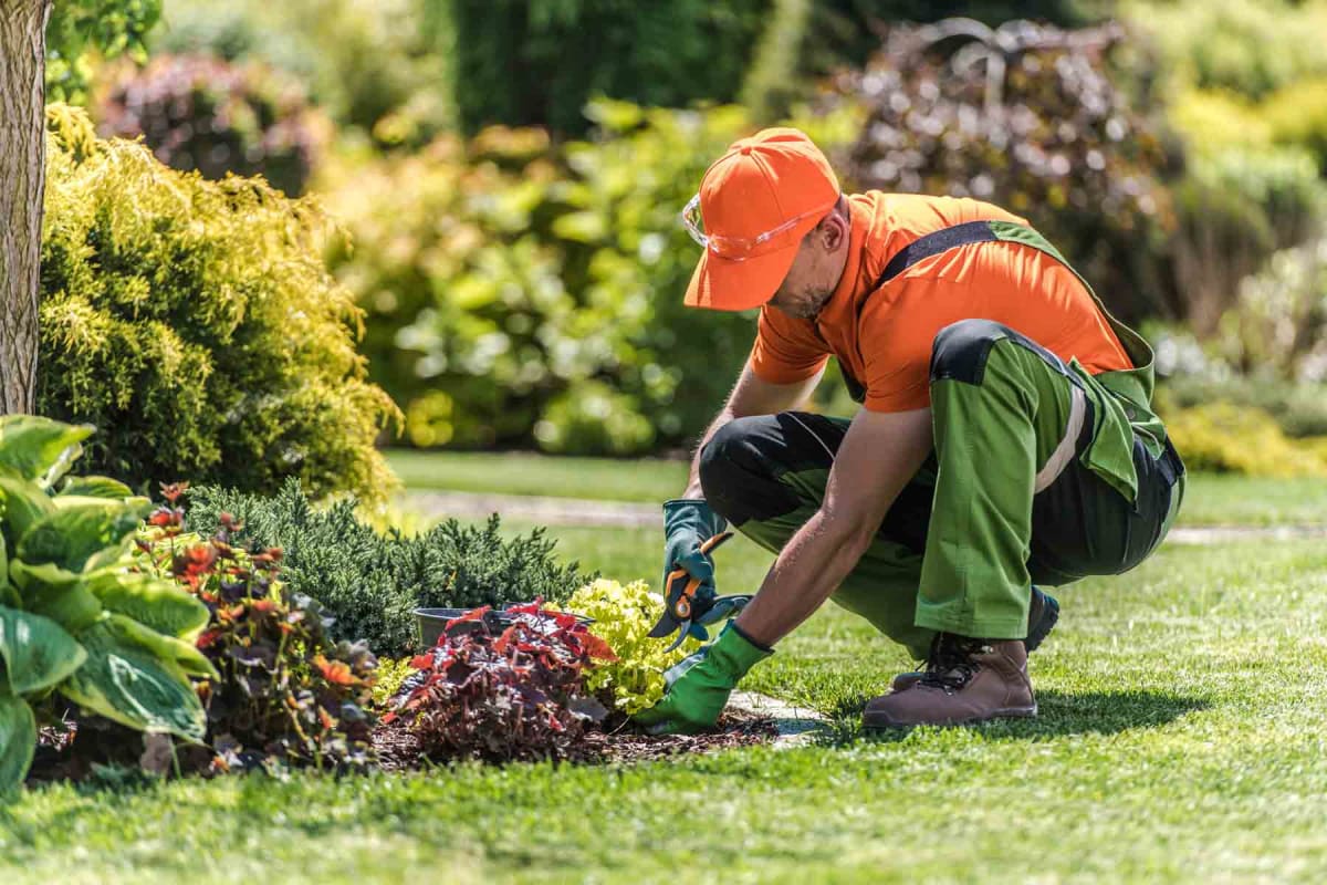 How to Start a Landscaping Business: A Complete Guide for Beginners