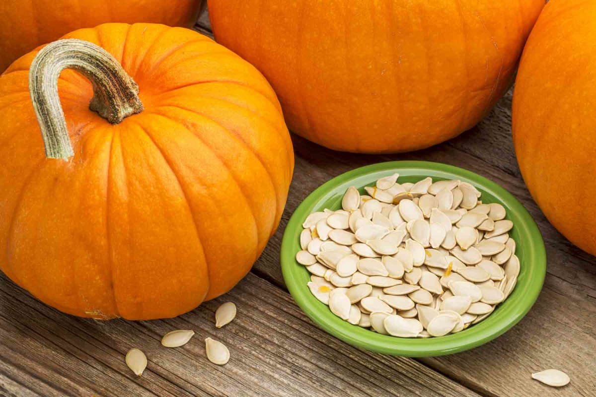 Can dogs eat pumpkin seeds?