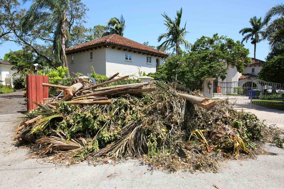 How Much to Charge for Hurricane Cleanup
