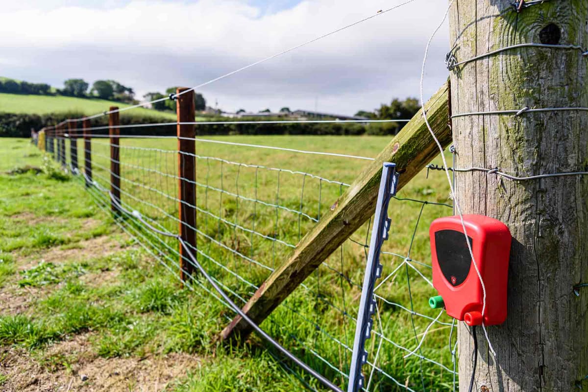 How much does an electric fence cost?