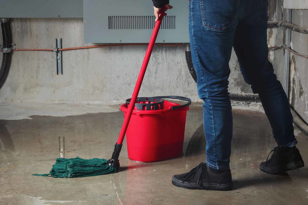 How much does flooded basement cleanup cost?