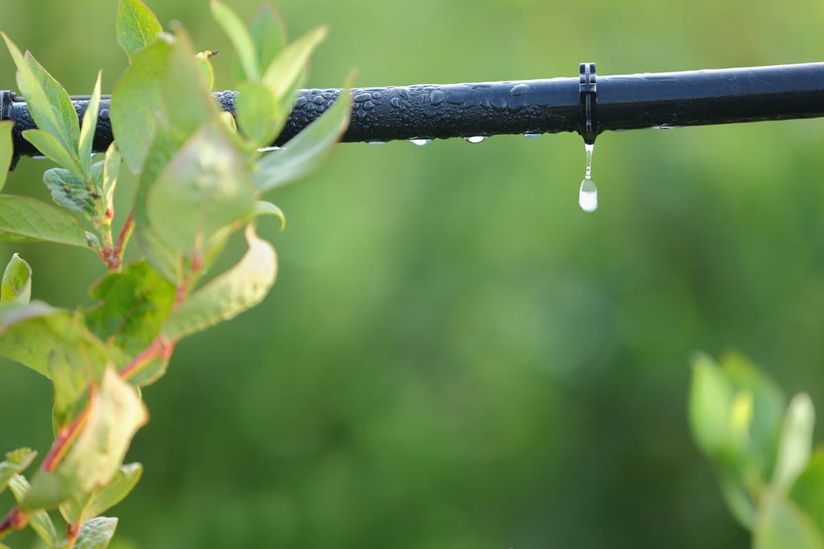 How much does a drip irrigation system cost to install?